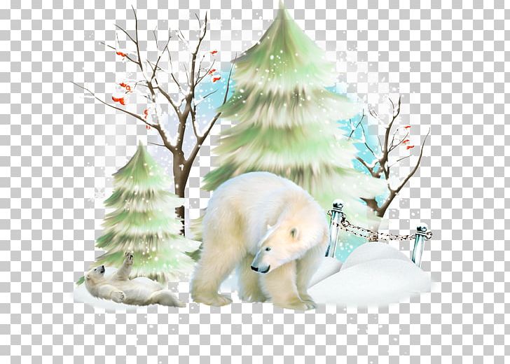 Blog December Cover Letter Winter PNG, Clipart, Animals, Bear, Blog, Bxe1seu0148, Carnivoran Free PNG Download