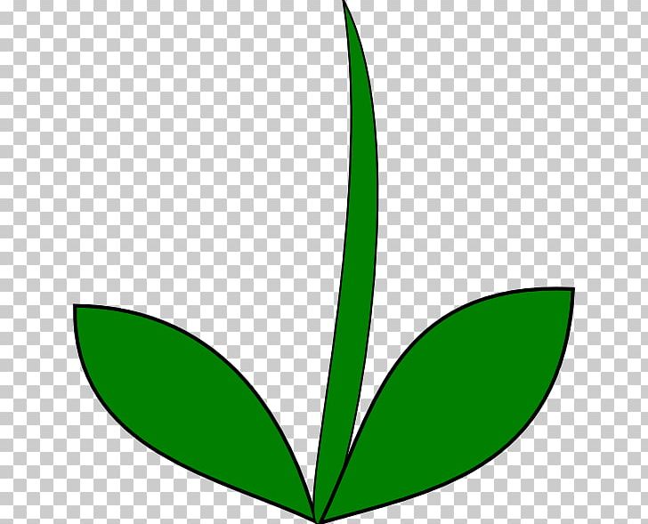 Plant Stem Flower Leaf PNG, Clipart, Artwork, Black And White, Blog, Clip Art, Flora Free PNG Download