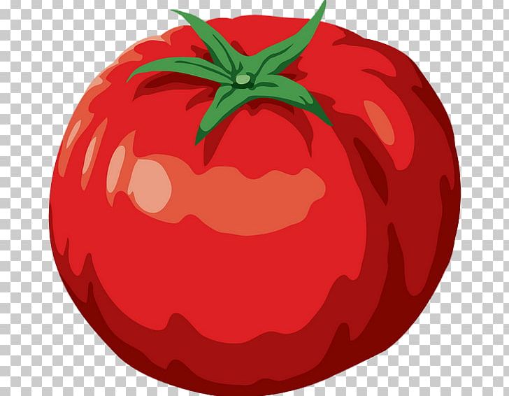 Tomato Hamburger Pizza Pesto Food PNG, Clipart, Apple, Bell Peppers And Chili Peppers, Bush Tomato, Diet Food, Drawing Free PNG Download