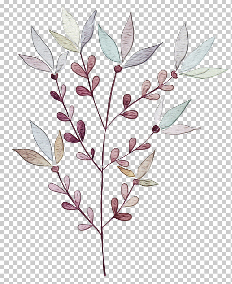 Leaf Plant Stem Twig Flower Tree PNG, Clipart, Biology, Flora, Flower, Leaf, Paint Free PNG Download