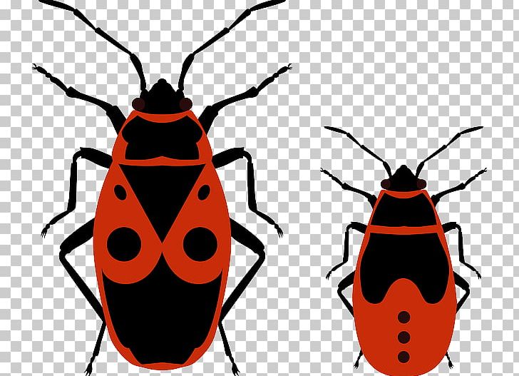 Beetle Pyrrhocoris Apterus Heteroptera PNG, Clipart, Animals, Artwork, Beetle, Drawing, Firebug Free PNG Download