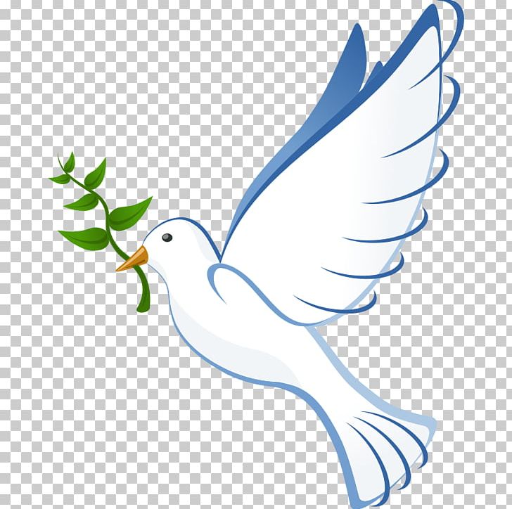 Columbidae PNG, Clipart, Area, Artwork, Beak, Bird, Branch Free PNG Download