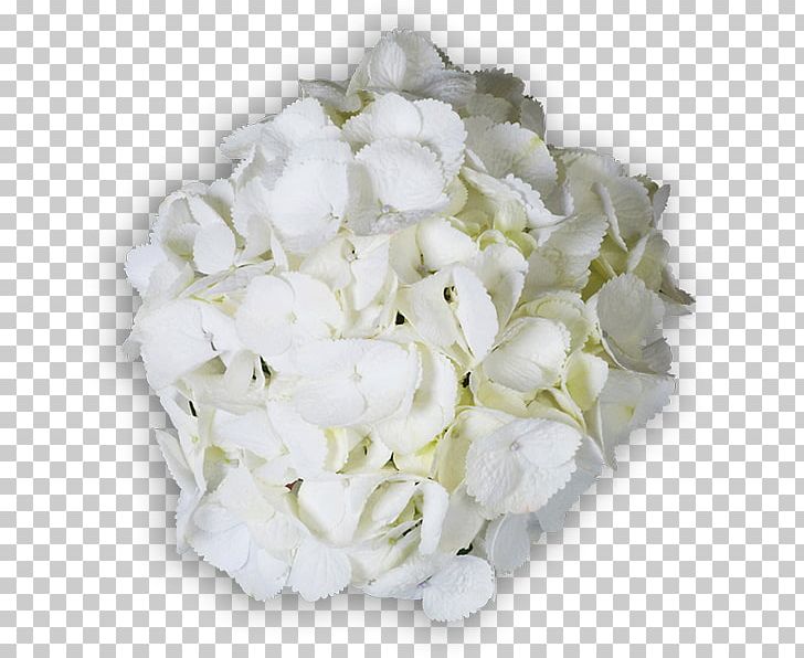 Hydrangea Cut Flowers Floral Design Flower Bouquet PNG, Clipart, Cornales, Cut Flowers, Floral Design, Floristry, Flower Free PNG Download