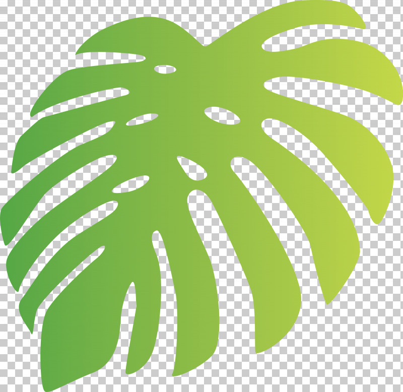 Monstera Tropical Leaf PNG, Clipart, Biology, Fruit, Geometry, Green, Leaf Free PNG Download