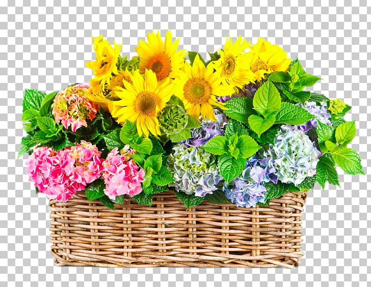 Flower Gratitude Floristry Stock Photography PNG, Clipart, Agriculture, Annual Plant, Artificial Flower, Baskets, Clips Free PNG Download