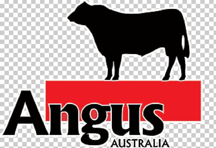 Angus Cattle Red Angus Brangus Bald Blair Angus Triple A Angus PNG, Clipart, Angus, Angus Cattle, Animals, Australia, Beef Free PNG Download