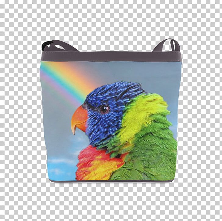 Parrot Budgerigar Cockatiel Loriini Rainbow Lorikeet PNG, Clipart, Amazon Parrot, Animals, Beak, Bird, Blanket Free PNG Download