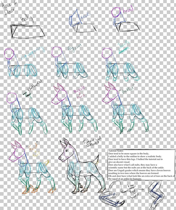Canidae Line Art Mammal Sketch PNG, Clipart,  Free PNG Download