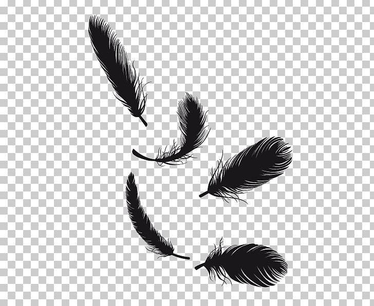 Feather Tail Pen PNG, Clipart, Animals, Black And White, Doll, Dollz, Eyelash Free PNG Download