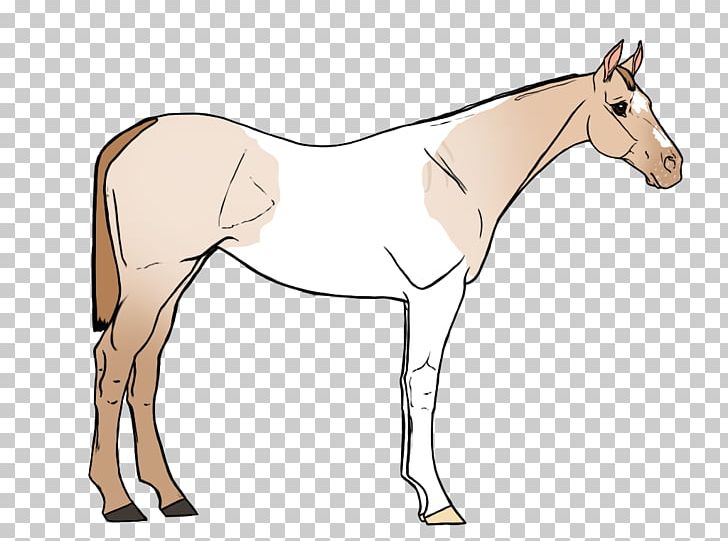 Mule Foal Stallion Bridle Mare PNG, Clipart, Animal, Bridle, Colt, Foal, Halter Free PNG Download