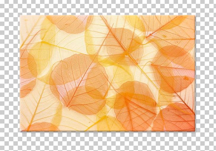 Stock Photography PNG, Clipart, Autumn, Background, Banco De Imagens, Bigstock, Can Stock Photo Free PNG Download
