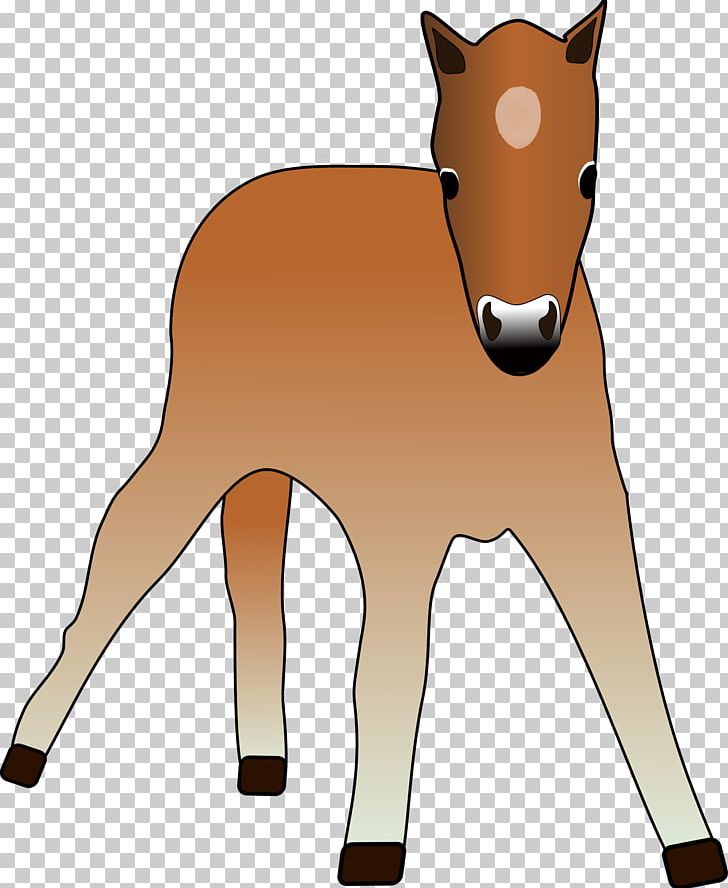 Foal Horse Colt Mare Pony PNG, Clipart, Animals, Bridle, Carnivoran, Cattle Like Mammal, Colt Free PNG Download