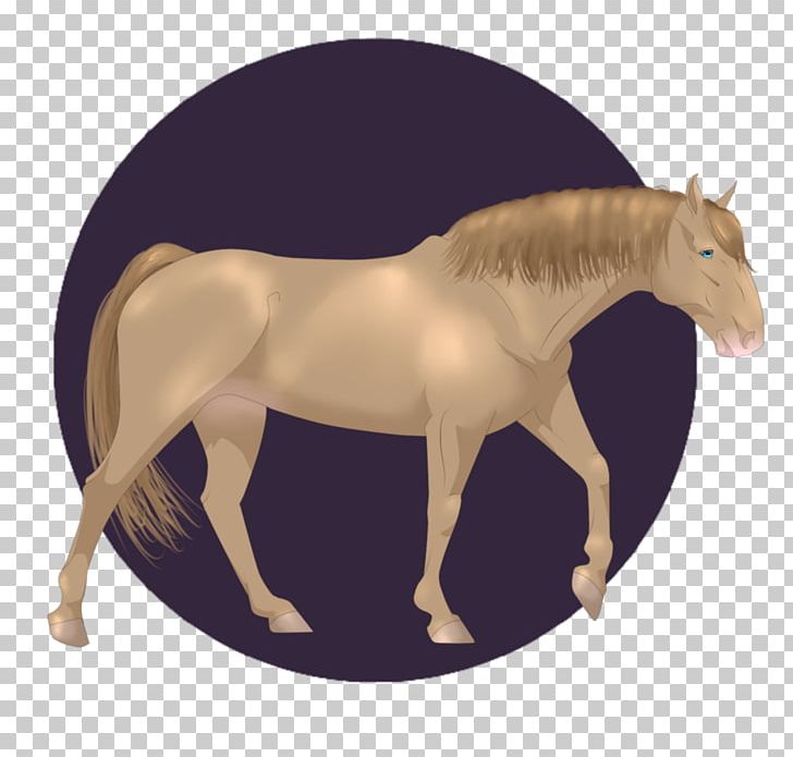 Mustang Stallion Mare Rein Halter PNG, Clipart,  Free PNG Download