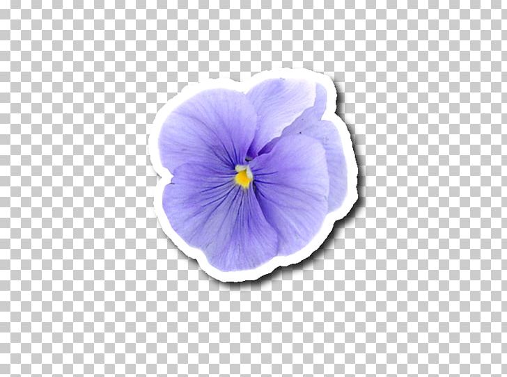 Photography Scrapbooking Pansy Sticker Blog PNG, Clipart, Adhesive, Blog, Blogger, Flower, Flowering Plant Free PNG Download