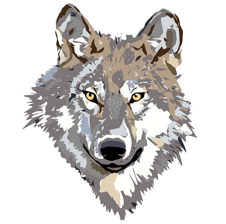 Gray Wolf Coyote PNG, Clipart, Animals, Carnivoran, Clip Art, Coyote, Dog Like Mammal Free PNG Download