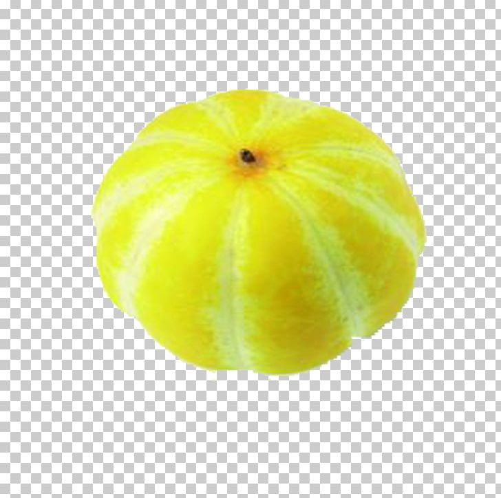 Korean Melon Citron PNG, Clipart, Cartoon Muskmelon Fruit, Citric Acid, Citron, Citrus, Citrus Junos Free PNG Download