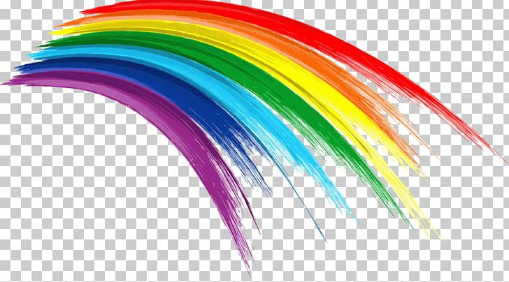 The Truth About Homosexuality LGBT Lesbian PNG, Clipart, Color, Feather, Gay, Gay Icon, Homosexuality Free PNG Download