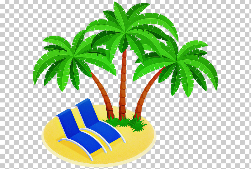 Palm Tree PNG, Clipart, Arecales, Hemp Family, Herbal, Houseplant, Leaf Free PNG Download
