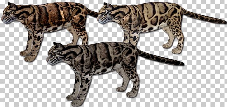 Bengal Cat California Spangled Wildcat Leopard Zoo Tycoon 2 PNG, Clipart, Animal, Animal Figure, Bengal, Bengal Cat, Big Cat Free PNG Download
