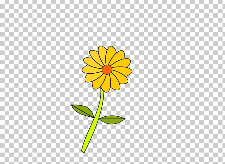 Flower Yellow Petal PNG, Clipart, Cartoon, Color, Common Daisy, Common Sunflower, Cut Flowers Free PNG Download