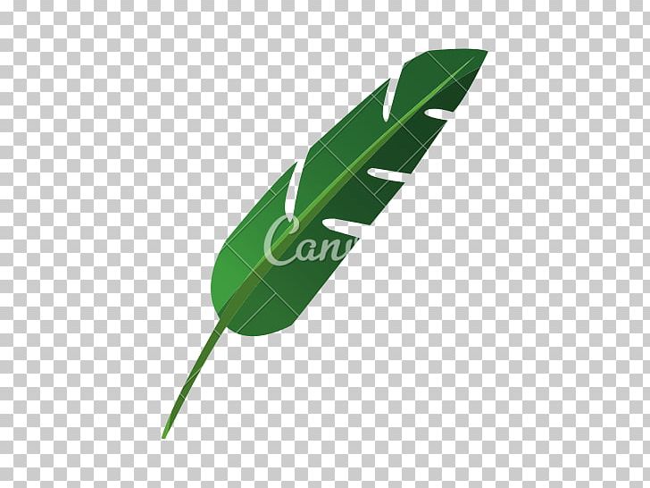 Leaf Plant PNG, Clipart, Grass, Green, Leaf, Plant Free PNG Download