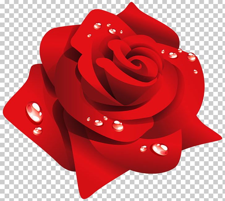 Rose PNG, Clipart, Rose Free PNG Download