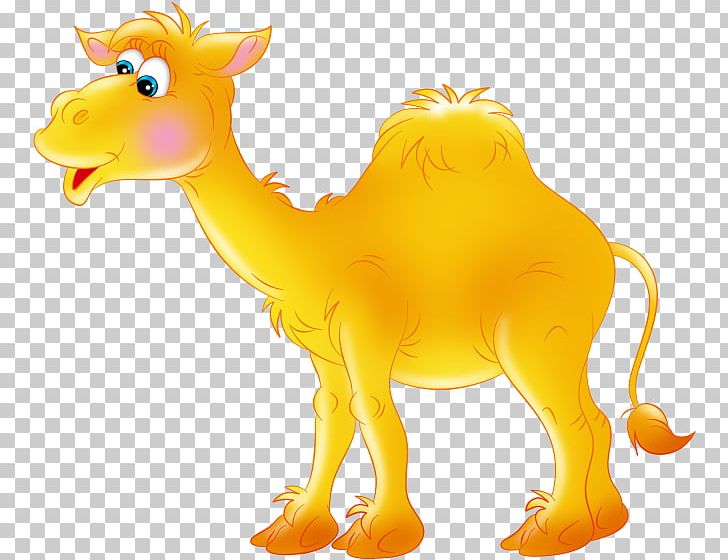 Dromedary Bactrian Camel PNG, Clipart, Animal Figure, Arabian Camel, Camel, Camel Like Mammal, Carnivoran Free PNG Download