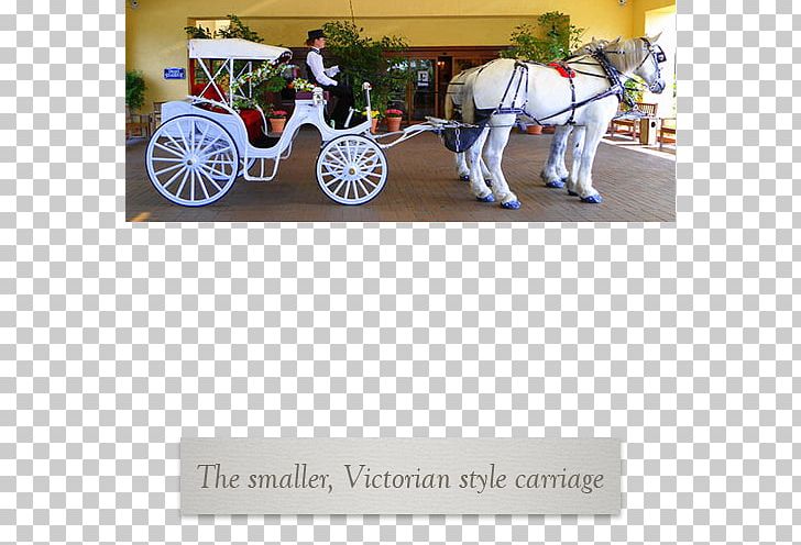 Horse And Buggy Carriage Wagon Wheel PNG, Clipart, Animals, Baraat, Carriage, Cart, Chariot Free PNG Download