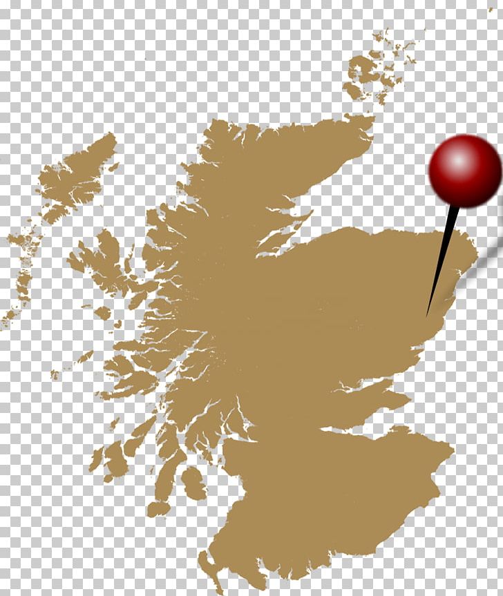Scotland Graphics Stock Photography Illustration PNG, Clipart, Art, Branch, Flower, Istock, Leaf Free PNG Download