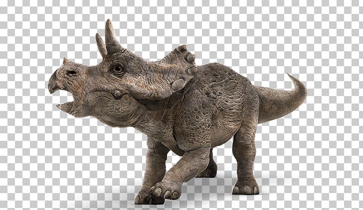 Baby Triceratops Tyrannosaurus Jurassic Park Dinosaur PNG, Clipart, Baby Dinosaur, Baby Triceratops, Colin Trevorrow, Dinosaur, Horn Free PNG Download