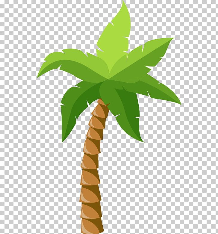 Coconut Arecaceae Tree Tropics PNG, Clipart, Arecales, Balloon Cartoon, Boy Cartoon, Cartoon, Cartoon Character Free PNG Download