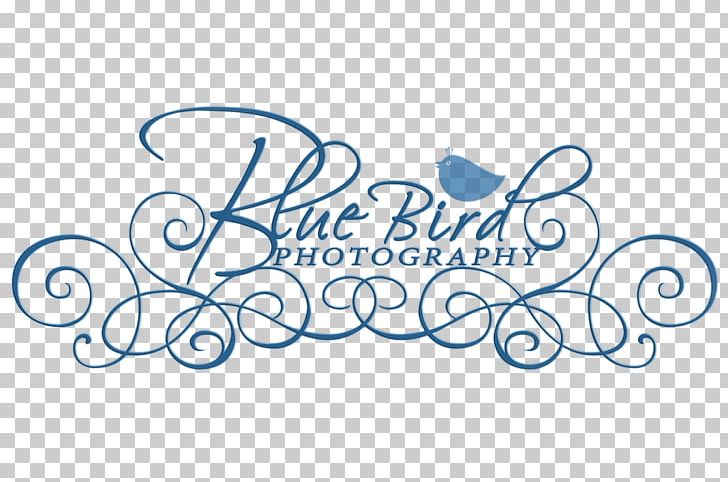 Photography IStock Art PNG, Clipart, Area, Art, Art Museum, Blue, Brand Free PNG Download