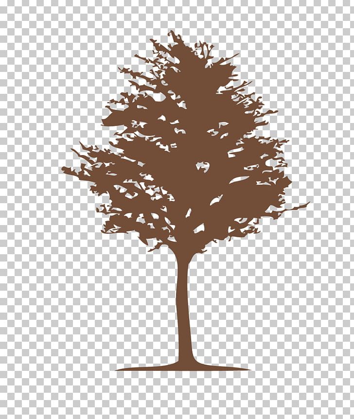 Logo Graphic Design Paper PNG, Clipart, Branch, Conifer, Conifers, Decorative Patterns, Graphic Design Free PNG Download