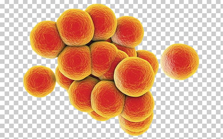 MRSA Super Bug Staphylococcal Infection Bacteria Food Poisoning Group A Streptococcus PNG, Clipart, Antimicrobial Resistance, Aureus, Bacteria, Food Poisoning, Fruit Free PNG Download