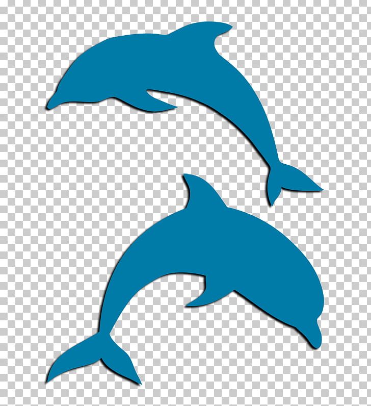 Common Bottlenose Dolphin Tucuxi Rough-toothed Dolphin Short-beaked Common Dolphin Delta Delta Delta PNG, Clipart, Animals, Artwork, Bottlenose Dolphin, Dolphin, Fauna Free PNG Download