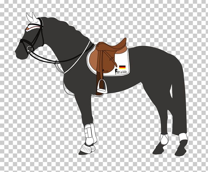 Horse Tack Stallion Show Jumping Equestrian PNG, Clipart, Animals, Bit, Crosscountry Equestrianism, Equestrian Centre, Equestrianism Free PNG Download