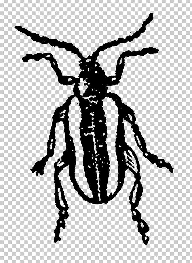 Insect Pollinator White PNG, Clipart, Animals, Art, Arthropod, Black And White, Character Free PNG Download