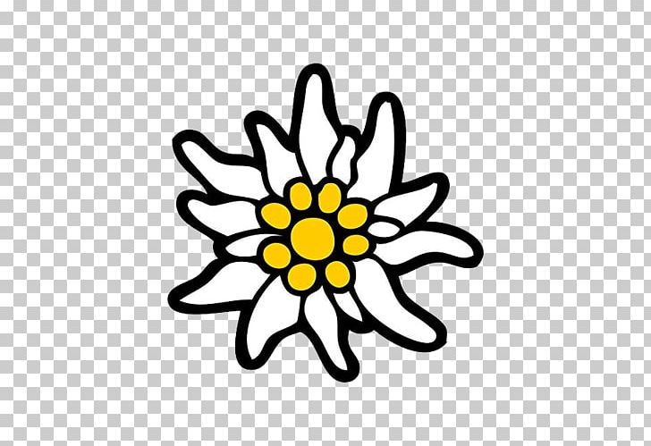 Edelweiss PNG, Clipart, Edelweiss Free PNG Download