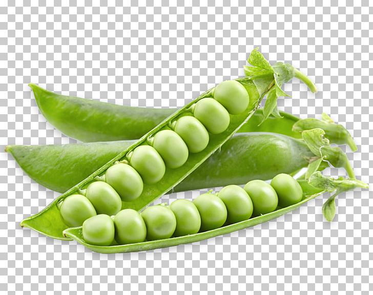 Snap Pea Vegetarian Cuisine Food Seed PNG, Clipart, Bean, Commodity, Food, Fruit, Green Free PNG Download