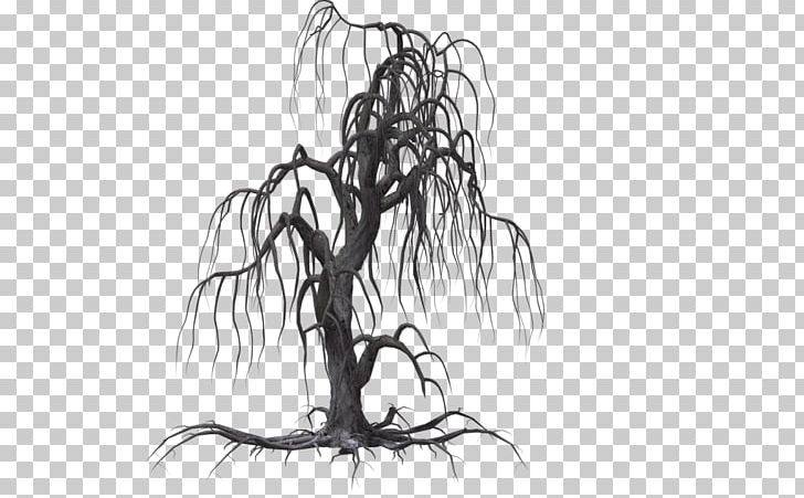 Tree Drawing Willow PNG, Clipart, Artwork, Black And White, Blog, Branch, Clip Art Free PNG Download
