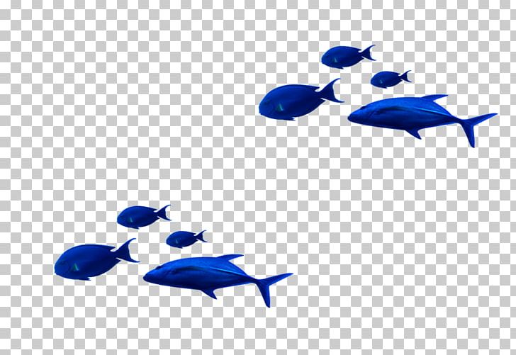Navy Blue Tropical Fish Dolphin PNG, Clipart, Animals, Blue, Blue Background, Christmas Decoration, Cobalt Blue Free PNG Download