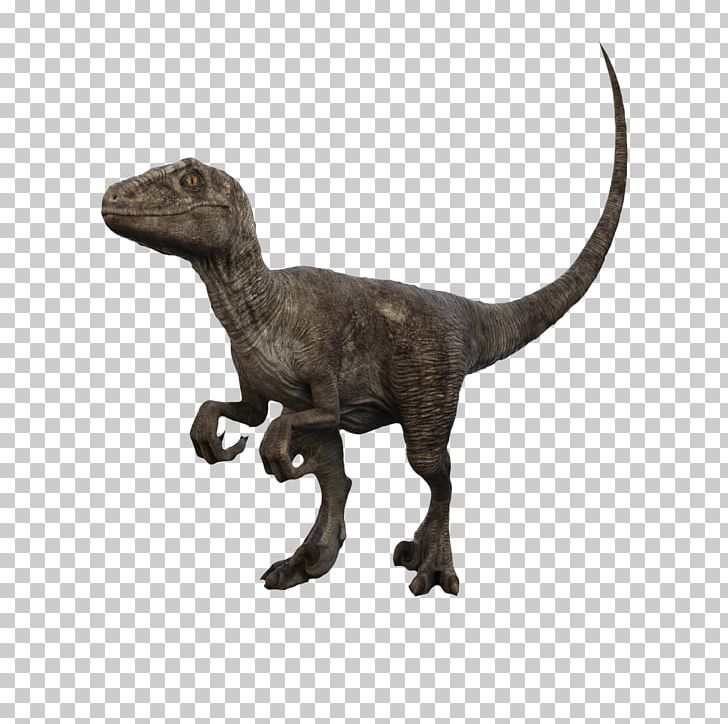 Velociraptor Tyrannosaurus Brachiosaurus Pteranodon Dinosaur PNG, Clipart, 3d Animation, 3d Arrows, 3d Background, 3d Computer Graphics, 3d Dinosaurs Free PNG Download