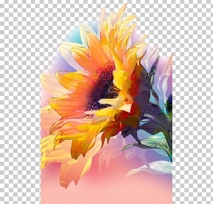 Watercolor Painting Work Of Art Common Sunflower PNG, Clipart, Canvas, Computer Wallpaper, Dahlia, Daisy Family, Deductible Free PNG Download