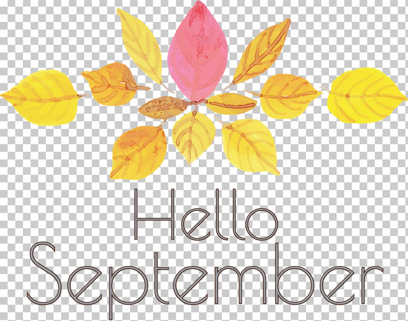 Cut Flowers Leaf Petal Flower Yellow PNG, Clipart, Cut Flowers, Flower, Fruit, Geometry, Hello September Free PNG Download