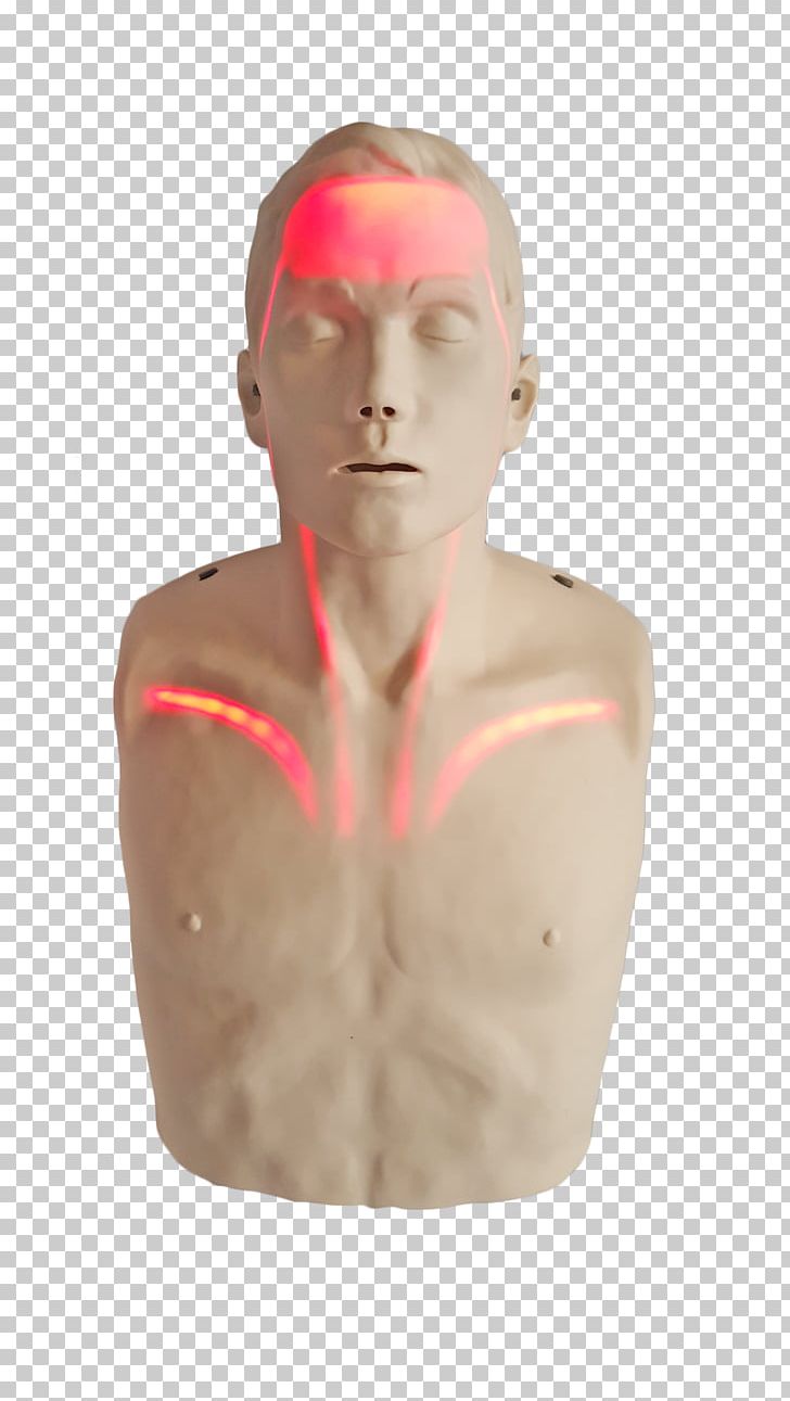 Cardiopulmonary Resuscitation Mannequin Transparent Anatomical Manikin Light PNG, Clipart, Airway Management, American Red Cross, Automated External Defibrillators, Blood, Bls Free PNG Download