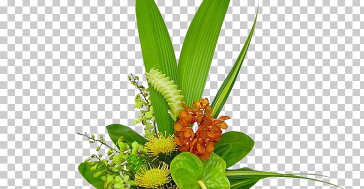 Floral Design Flower Bouquet Floristry Honolulu PNG, Clipart, Aloha, Aquarium Decor, Cut Flowers, Floral Design, Floristry Free PNG Download