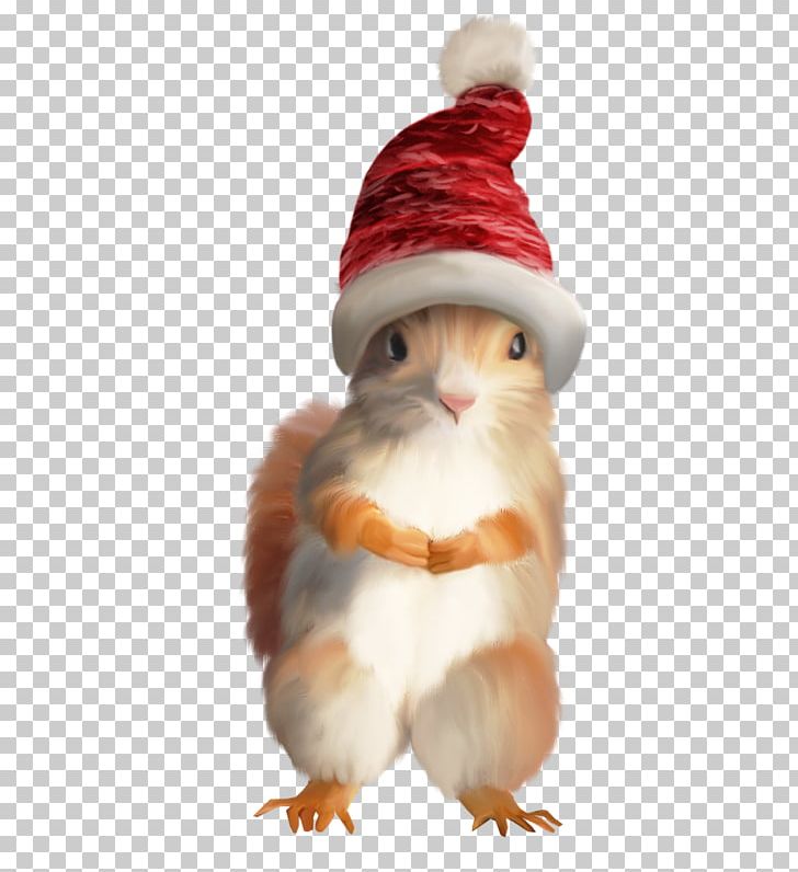 Squirrel Santa Claus Christmas Tree Christmas Ornament PNG, Clipart,  Free PNG Download