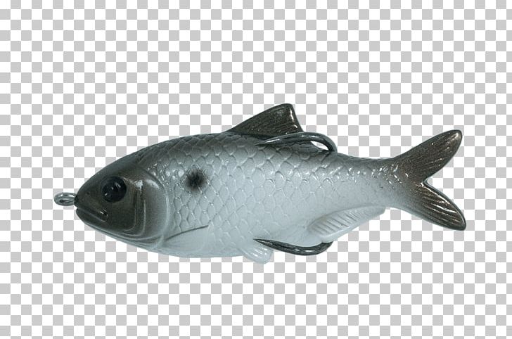 Swimbait Fishing Baits & Lures Hollow Bodies PNG, Clipart, Fish, Fish Body, Fishing Bait, Fishing Baits Lures, Hollow Bodies Free PNG Download