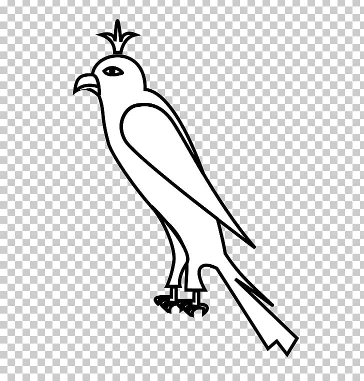 Beak Galliformes White Line PNG, Clipart, Art, Beak, Bird, Black And White, Branch Free PNG Download