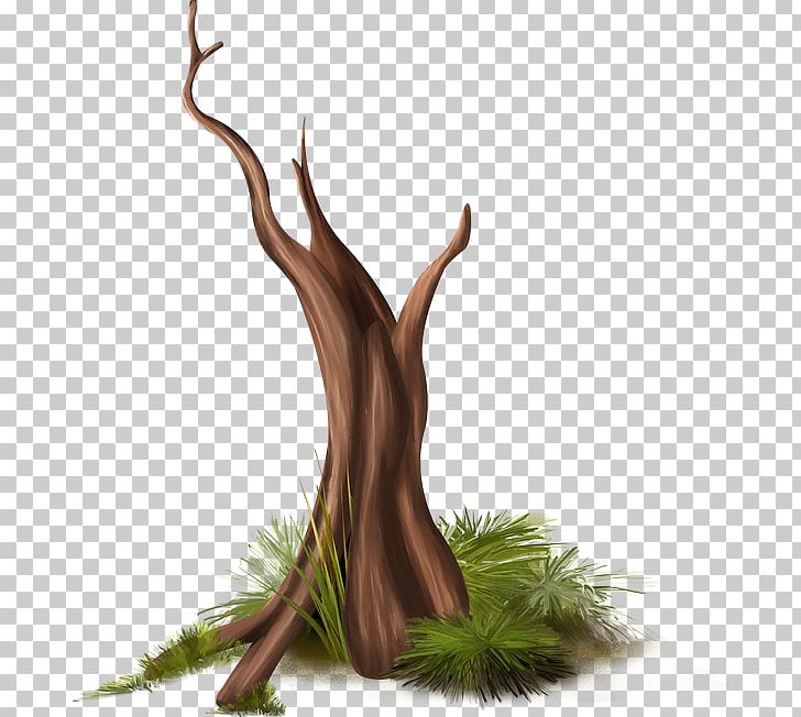 Branch Tree Plant Drawing PNG, Clipart, Antler, Arecaceae, Branch, Cartoon, Coarse Woody Debris Free PNG Download